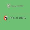 SearchWP Polylang Integration