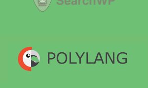 SearchWP Polylang Integration