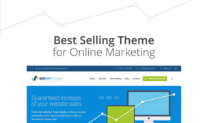 SEO WP: Digital Marketing Agency & Social Media Company Theme