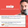 Snip - The Rich Snippets