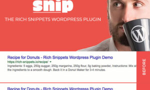 Snip - The Rich Snippets