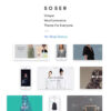 Sober - WooCommerce WordPress Theme