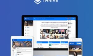 Thrive - Intranet & Community WordPress Theme