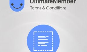 Ultimate Member Terms & Conditions Addon