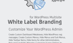 White Label Branding for WordPress Multisite