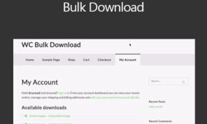 WooCommerce Bulk Download