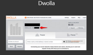 WooCommerce Dwolla