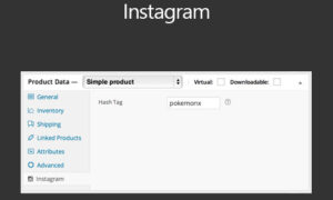 WooCommerce Instagram