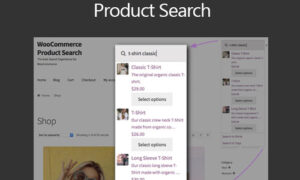 WooCommerce Product Search