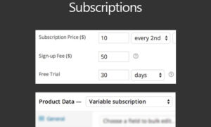 WooCommerce Subscriptions