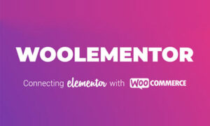 Woolementor Pro