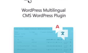 WordPress Multilingual CMS WordPress Plugin