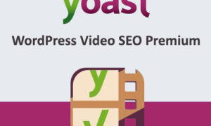 WordPress Video SEO Premium