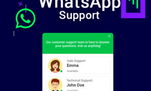 WordPress WhatsApp Support