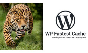 WP Fastest Cache WordPress Plugin - Premium