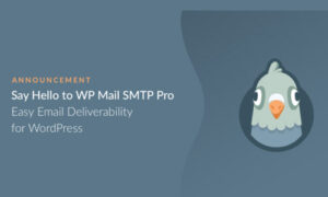 WP Mail SMTP Pro