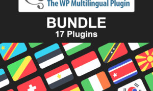 WP Multilingual (WPML) - BUNDLE