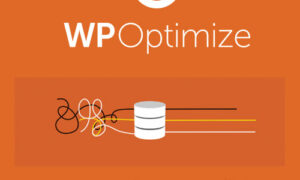 WP-Optimize Premium