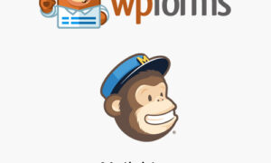 WPForms - Mailchimp