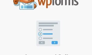 WPForms - Surveys and Polls